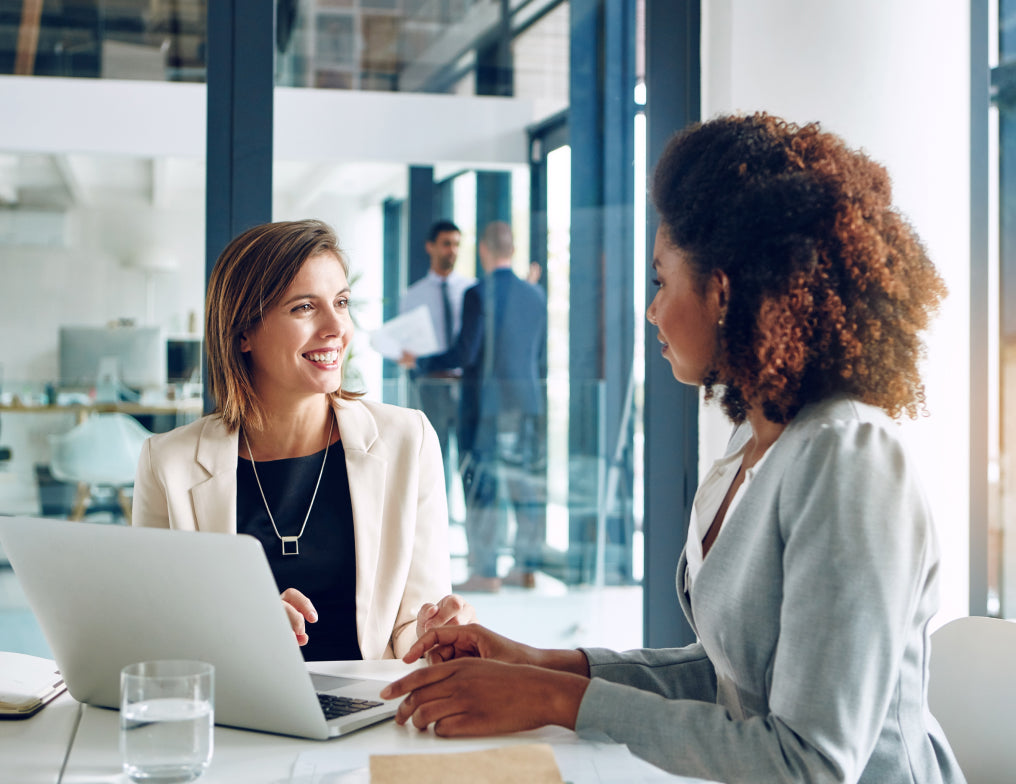 Two professional women having a business meeting in a modern office setting.