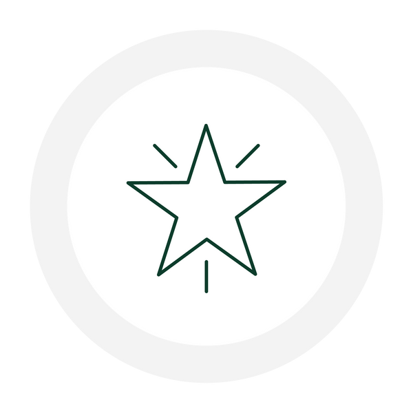A simple black outline of a five-pointed star with radiating lines inside a white circular border.